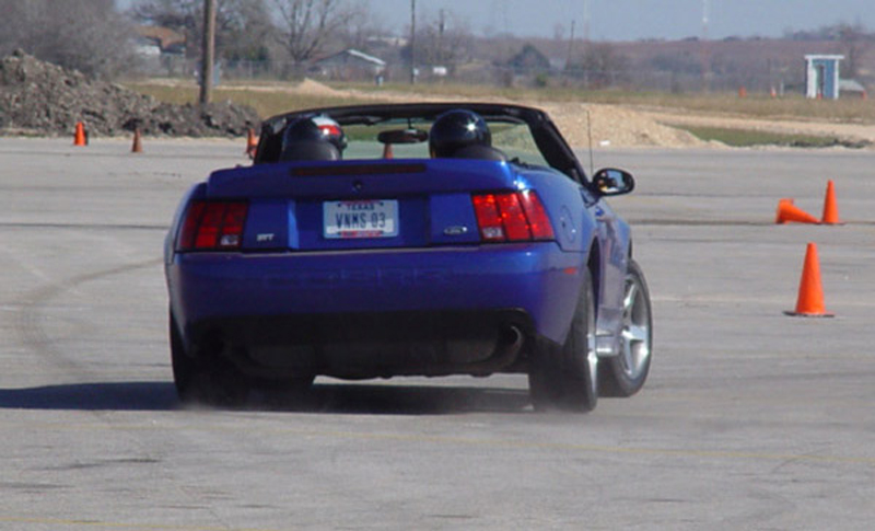 cobra_06