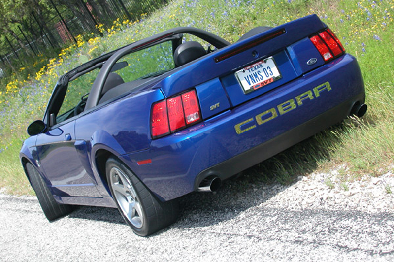 cobra_14