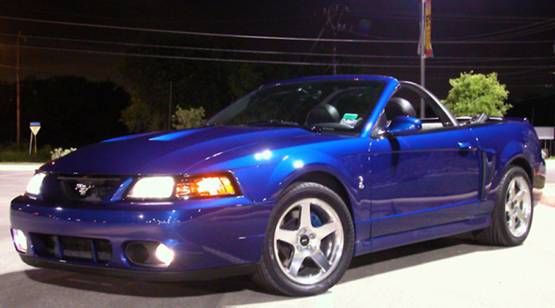 cobra_20